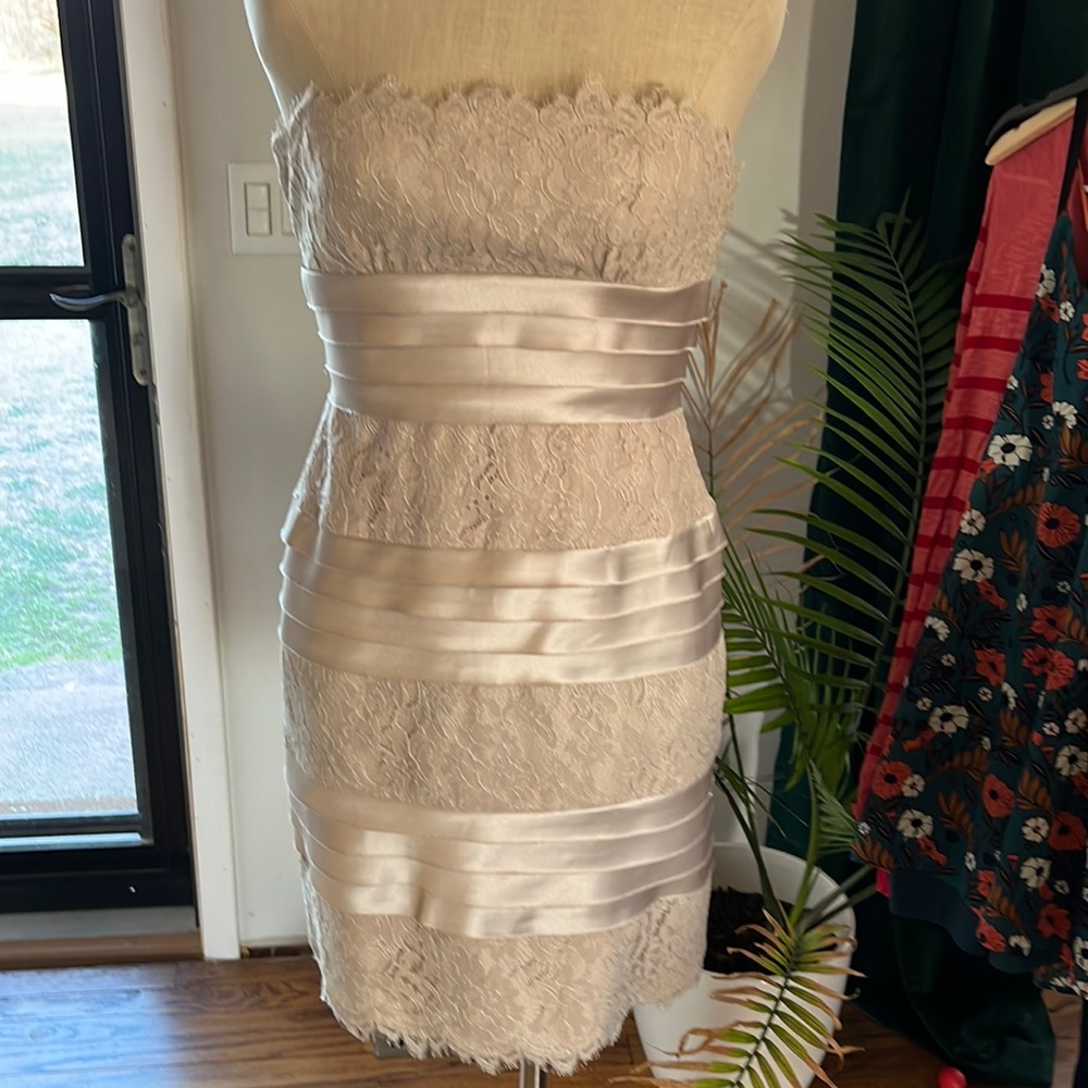 BCBG beige strapless off nude lace dress